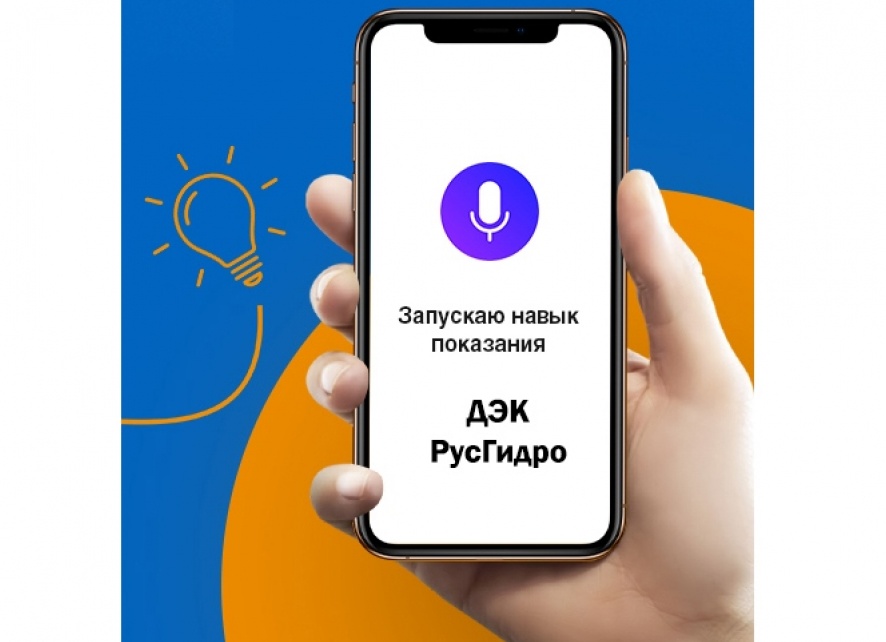 Не передали показания счетчиков в ДЭК? Вам поможет голосовой помощник Алиса