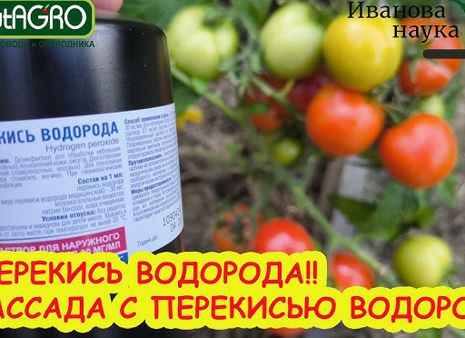 Показания счетчика не правильные - вода, свет и газ! Как быть, что бы не платить втридорога